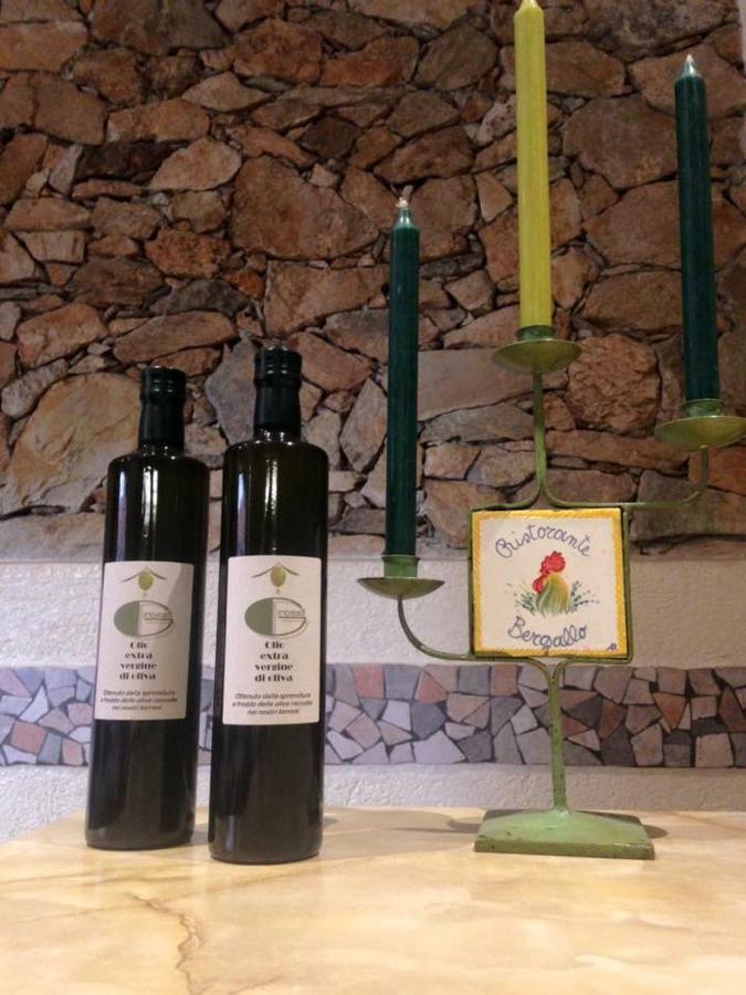 Albergo Ristorante Bergallo Tovo San Giacomo المظهر الخارجي الصورة